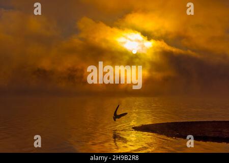 Reflet des nuages dans le lac Sammamish au lever du soleil, Redmond, État de Washington, États-Unis Banque D'Images