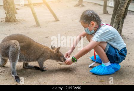 Enfant asiatique fille nourrit un Wallaby dans le zoo, enfant portant un masque médical, image de vue latérale, ont une protection en plastique pour les chaussures.Concept pour tra Banque D'Images