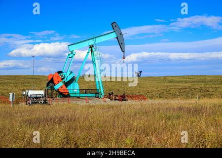 Une citrouille à huile en Alberta, au Canada.Un vérin de pompe à huile est l'entraînement par roue libre d'une pompe à piston alternatif dans un puits d'huile. Banque D'Images