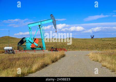 Une citrouille à huile en Alberta, au Canada.Un vérin de pompe à huile est l'entraînement par roue libre d'une pompe à piston alternatif dans un puits d'huile. Banque D'Images