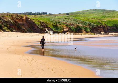 Un surfeur solitaire et un oiseau sur la plage Wolamai Surf Beach - Phillip Island, Victoria, Australie Banque D'Images