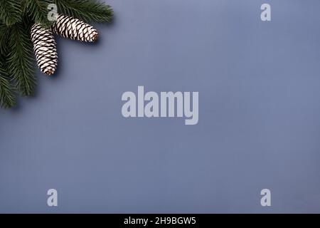 Maquette de Noël avec branches et cônes en sapin Banque D'Images