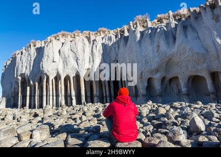 Paysages naturels inhabituels - les colonnes du lac Crowley en Californie, États-Unis. Banque D'Images