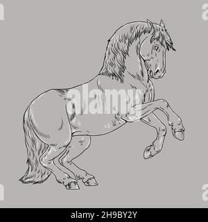 Dessin de cheval d'élevage.Portrait d'un cheval au crayon.Dessin équin. Banque D'Images