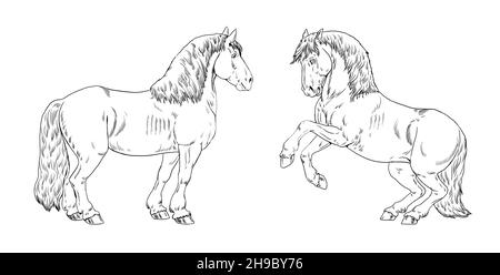 Dessin d'un tirant d'eau.Modèle de livre de coloriage avec un cheval.Dessin équin. Banque D'Images