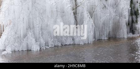 Beaucoup de belles glaces pendent d'arbres dans Norfolk Angleterre.Saison d'hiver gel des arbres de glace Banque D'Images