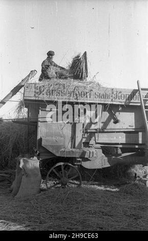 Polska, 1947-10.Ziemie Odzyskkane.M³ócenie ¿yta na poniemieckiej m³ocarni (m³ockarni). mb/gr PAP Dok³adny dzieñ wydarzenia nieustalony.Pologne, octobre 1947.Territoires reconquis.Battage du seigle dans une ancienne machine de battage allemande. mb/gr PAP Banque D'Images