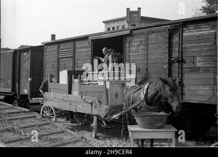 Gdañsk, 1947-10.Przyjazd rapatriantów ze wschodu.prze³adunek dogytku z wagonu kolejowego na furmankê. ps/gr PAP Dok³adny dzieñ wydarzenia nieustalony.Gdansk, octobre 1947.Les poteaux rapatriés de l'est arrivent à Gdansk.Photo: Le rechargement de possessions d'un train à un camion. ps/gr PAP Banque D'Images