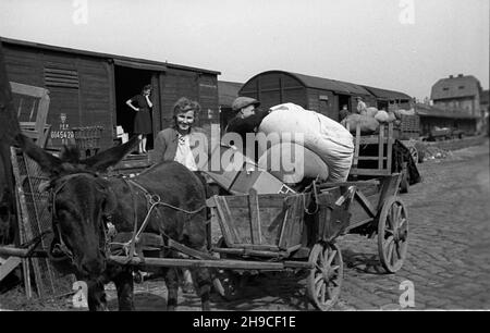 Gdañsk, 1947-10.Przyjazd rapatriantów ze wschodu.NZ. Rodzina wraz ze swoim dogytkiem. ps/gr PAP Dok³adny dzieñ wydarzenia nieustalony.Gdansk, octobre 1947.Les poteaux rapatriés de l'est arrivent à Gdansk.Photo : une famille et ses possessions. ps/gr PAP Banque D'Images