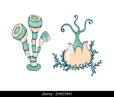 Des champignons fantastiques et irréalistes, dessinant à la main, sur fond blanc et isolé.Illustration vectorielle Illustration de Vecteur