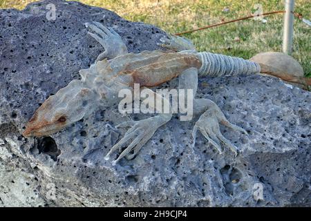 Uplistsikhe / Géorgie : 11.11.2019 : une œuvre métallique dépeint un lézard sur une pierre Banque D'Images