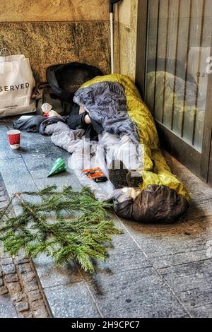 Un homme sans domicile se trouve sur un sentier à Munich pendant la saison de Noël.À côté de lui une grande branche de sapin comme une décoration de Noël. Banque D'Images