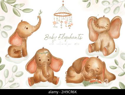 Ensemble d'éléphants d'aquarelle pour la pépinière.Jolis éléphants différents ensemble avec des feuilles et des jouets sur fond blanc.Pour votre design, textile, pépinière Banque D'Images