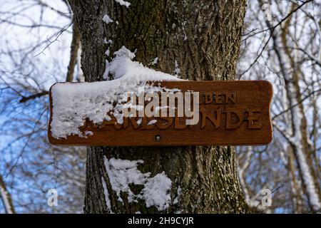panneau en bois avec de la neige sur une bûche en hiver Banque D'Images