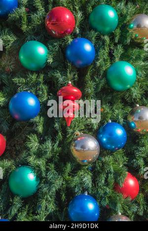 Arbre de Noël public en cours de décoration à Alachua, Floride. Banque D'Images