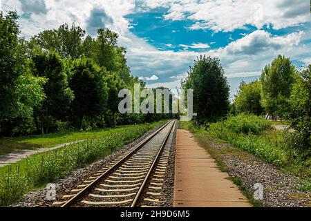 Le chemin de fer va à horizon, des deux côtés de la forêt dense. Banque D'Images