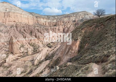 Silhouette d'arbre stérile dans un paysage de tufs érodés blancs en hiver.Cappadoce, Anatolie centrale, Turquie Banque D'Images