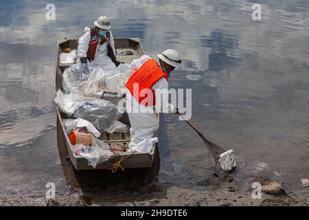 Une équipe de nettoyage débarque de l'huile dans le marais Talbert, qui abrite de nombreux oiseaux et animaux sauvages.On estime que 127,000 gallons de pétrole brut ont fui un derrick pétrolier Banque D'Images