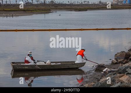 Une équipe de nettoyage débarque de l'huile dans le marais Talbert, qui abrite de nombreux oiseaux et animaux sauvages.On estime que 127,000 gallons de pétrole brut ont fui un derrick pétrolier Banque D'Images