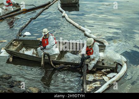 Une équipe de nettoyage débarque de l'huile dans le marais Talbert, qui abrite de nombreux oiseaux et animaux sauvages.On estime que 127,000 gallons de pétrole brut ont fui un derrick pétrolier Banque D'Images