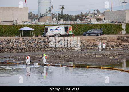 Une équipe de nettoyage débarque de l'huile dans le marais Talbert, qui abrite de nombreux oiseaux et animaux sauvages.On estime que 127,000 gallons de pétrole brut ont fui un derrick pétrolier Banque D'Images