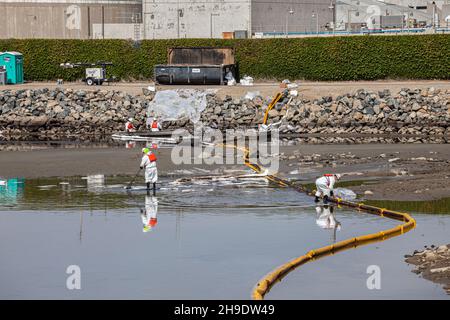 Une équipe de nettoyage débarque de l'huile dans le marais Talbert, qui abrite de nombreux oiseaux et animaux sauvages.On estime que 127,000 gallons de pétrole brut ont fui un derrick pétrolier Banque D'Images