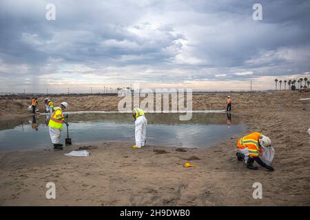Une équipe de nettoyage nettoie les gisements de pétrole et de goudron, et se hale d'une berme construite pour empêcher l'huile de s'écouler dans la rivière Santa Ana, qui normalement Banque D'Images