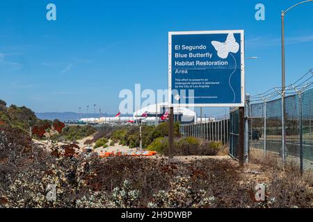 Zone de restauration de l'habitat des papillons bleus d'El Segundo, aéroport international de Los Angeles (LAX), Los Angeles, Callifornia, États-Unis Banque D'Images