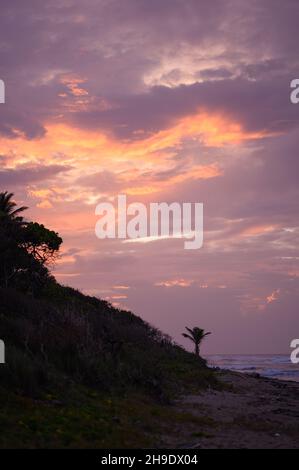 La photo montre un magnifique coucher de soleil sur l'océan Atlantique.L'image montre un coucher de soleil violet-orange et un palmier.Plusieurs palmiers sont visibles dans le Banque D'Images