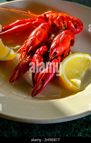 Dîner de fruits de mer au crabe bouilli servi avec des quartiers de citron Banque D'Images