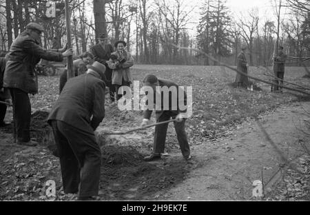 Varsovie, 1947-11.Prezydent Boles³aw Bierut bierze udzia³ W spo³ecznej akcji jesiennego sadzenia drzew W Parku Natuliñskim.NZ. m.in.Boles³aw Bierut (P), sekretarka prezydenta Wanda Górska (2L).W g³êbi ekipa Polskiej Kroniki Filmowej: W³adys³aw Forbert (z kamer¹). po/mgs PAP Dok³adny dzieñ wydarzenia nieustalony.Varsovie, novembre 1947.Le Président Boleslaw Bierut participe à une campagne sociale de plantation d'arbres d'automne dans le parc Natolin.Photo: Président Bierut (à droite) la secrétaire de Bierut Wanda Gorska (2ème à gauche).Dans l'abckground, l'équipage de la Newsreel polonaise: Wladyslaw Forbert (avec un Banque D'Images