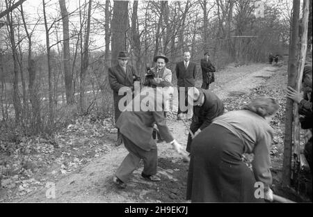 Varsovie, 1947-11.Prezydent Boles³aw Bierut bierze udzia³ W spo³ecznej akcji jesiennego sadzenia drzew W Parku Natuliñskim.NZ. m.in. szef kancelarii prezydenta Kazimierz Mijal (3L), Boles³aw Bierut (ty³em z lewej), obok sekretarka prezydenta Wanda Górska.W g³êbi ekipa Polskiej Kroniki Filmowej: W³adys³aw Forbert (z kamer¹), obokok niego z lewej Mieczys³aw Wiesio³ek. po/mgs PAP Dok³adny dzieñ wydarzenia nieustalony.Varsovie, novembre 1947.Le Président Boleslaw Bierut participe à l'action sociale d'automne de la plantation d'arbres dans le parc Natolinski.Photo : chef de la chancellerie présidentielle Banque D'Images