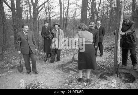 Varsovie, 1947-11.Prezydent Boles³aw Bierut bierze udzia³ W spo³ecznej akcji jesiennego sadzenia drzew W Parku Natuliñskim.NZ. m.in. szef kancelarii prezydenta Kazimierz Mijal (2P), Boles³aw Bierut (L), sekretarka prezydenta Wanda Górska (ty³em).W g³êbi ekipa Polskiej Kroniki Filmowej: W³adys³aw Forbert (z kamer¹), obokok niego z lewej Mieczys³aw Wiesio³ek. po/mgs PAP Dok³adny dzieñ wydarzenia nieustalony.Varsovie, novembre 1947.Le Président Boleslaw Bierut participe à l'action sociale d'automne de la plantation d'arbres dans le parc Natolinski.Photo : chef de la Chancellerie présidentielle Kazimie Banque D'Images