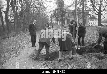 Varsovie, 1947-11.Prezydent Boles³aw Bierut bierze udzia³ W spo³ecznej akcji jesiennego sadzenia drzew W Parku Natuliñskim.NZ. m.in. szef kancelarii prezydenta Kazimierz Mijal (L), Boles³aw Bierut (ty³em z lewej), obok sekretarka prezydenta Wanda Górska.W g³êbi ekipa Polskiej Kroniki Filmowej: W³adys³aw Forbert (z kamer¹).W tle budynek klasycystycznego pa³acu Potockich. po/mgs PAP Dok³adny dzieñ wydarzenia nieustalony.Varsovie, novembre 1947.Le Président Boleslaw Bierut participe à l'action sociale d'automne de la plantation d'arbres dans le parc Natolinski.Photo : chef du Chan présidentiel Banque D'Images