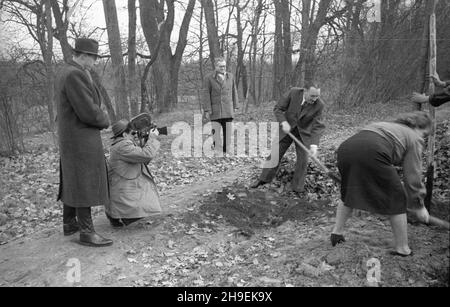 Varsovie, 1947-11.Prezydent Boles³aw Bierut bierze udzia³ W spo³ecznej akcji jesiennego sadzenia drzew.NZ. m.in.Boles³aw Bierut (2P) i sekretarka prezydenta Wanda Górska (P) W Parku Natuliñskim.Z lewej ekipa Polskiej Kroniki Filmowej (PKF): W³adys³aw Forbert (z kamer¹) i Mieczys³aw Wiesio³ek. umr PAP Dok³adny dzieñ wydarzenia nieustalony.Varsovie, novembre 1947.Le Président Boleslaw Bierut participe à l'action sociale d'automne de la plantation d'arbres dans le parc Natolinski.Photo : le président Boleslaw Bierut (au centre), son assistant personnel Wanda Gorska (à droite).Depuis la gauche : Polish Newsreel Camer Banque D'Images