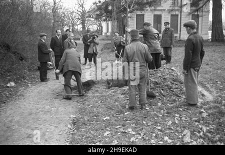 Varsovie, 1947-11.Prezydent Boles³aw Bierut bierze udzia³ W spo³ecznej akcji jesiennego sadzenia drzew W Parku Natuliñskim.NZ. m.in.Boles³aw Bierut (ty³em z lewej), szef kancelarii prezydenta Kazimierz Mijal (2L), sekretarka prezydenta Wanda Górska (C).W g³êbi ekipa Polskiej Kroniki Filmowej: W³adys³aw Forbert (z kamer¹), za nim Mieczys³aw Wiesio³ek.W tle budynek klasycystycznego pa³acu Potockich. po/mgs PAP Dok³adny dzieñ wydarzenia nieustalony.Varsovie, novembre 1947.Le Président Boleslaw Bierut participe à l'action sociale d'automne de la plantation d'arbres dans le parc Natolinski.Photo : Banque D'Images