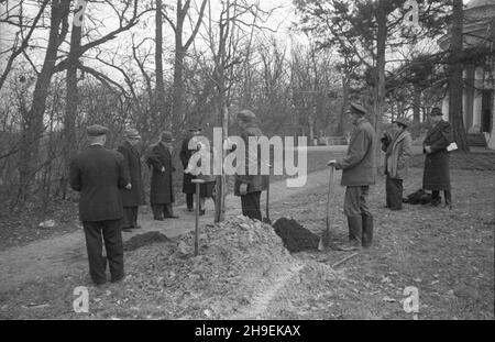 Varsovie, 1947-11.Prezydent Boles³aw Bierut bierze udzia³ W spo³ecznej akcji jesiennego sadzenia drzew W Parku Natuliñskim.NZ.Boles³aw Bierut (3L), szef kancelarii prezydenta Kazimierz Mijal (4L) i sekretarka prezydenta Wanda Górska (5L).Z prawej ekipa Polskiej Kroniki Filmowej: W³adys³aw Forbert (z kamer¹) i Mieczys³aw Wiesio³ek (P).W tle wschodnia elewacja klasycystycznego pa³acu Potockich. po/mgs PAP Dok³adny dzieñ wydarzenia nieustalony.Varsovie, novembre 1947.Le Président Boleslaw Bierut participe à l'action sociale d'automne de la plantation d'arbres dans le parc Natolinski.Photo : Boles Banque D'Images