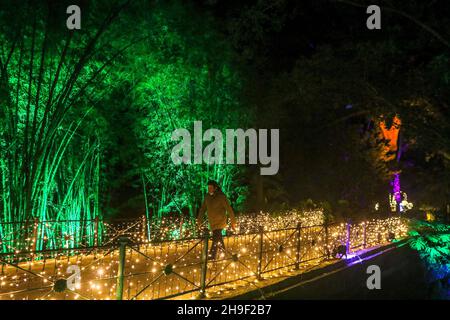 Malaga, Espagne.Décembre 6, 2021: Décembre 6, 2021 (Malaga le jardin botanique de Malaga est transformé en une histoire de Noël, une oasis de style paysage anglais avec plus de 150 ans d'histoire.Crédit : ZUMA Press, Inc./Alay Live News Banque D'Images