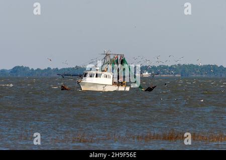 Un bateau à crevettes trouvé le long de la côte de l'île Fripp, Caroline du Sud, États-Unis. Banque D'Images