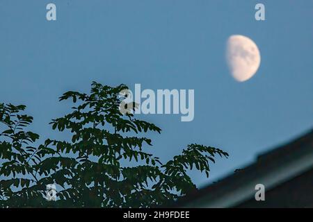 La lune se lève dans le ciel du soir. Banque D'Images