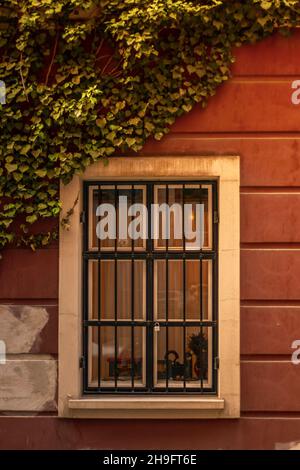 Plan vertical d'une fenêtre fermée d'un ancien bâtiment Banque D'Images