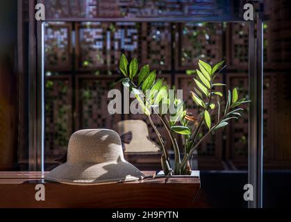 Chapeau d'été près de l'arbre de pierres de Zanzibar sur une chaise de détente en bois pour les vacances de fond.Mise au point sélective. Banque D'Images