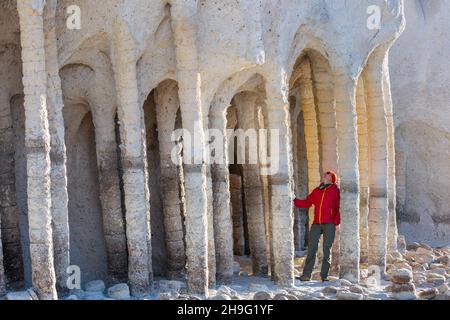 Paysages naturels inhabituels - les colonnes du lac Crowley en Californie, États-Unis. Banque D'Images