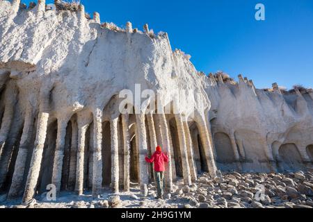 Paysages naturels inhabituels - les colonnes du lac Crowley en Californie, États-Unis. Banque D'Images