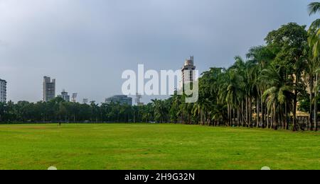 MUMBAI, INDE - 2 octobre 2021 : terrain ovale vert luxuriant au sud de mumbai populaire parmi les gens de Mumbai pour jouer au cricket Banque D'Images