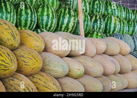Un gros plan de pastèques empilées et de torpilles melons à vendre.À Mirabad Bazar, Mirobod Bozori à Tachkent, Ouzbékistan. Banque D'Images
