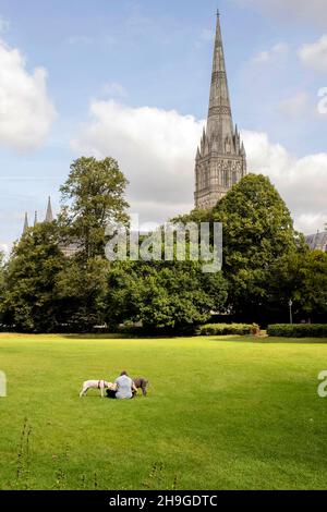 Vue sur la tour et la flèche de la cathédrale de Salisbury, Wiltshire, Angleterre, Royaume-Uni Banque D'Images