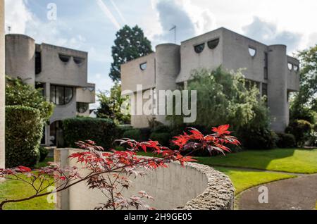 1960s maisons modernistes en briques grises de Lawrence Abbott à Apex Drive Frimley Surrey, Angleterre Banque D'Images