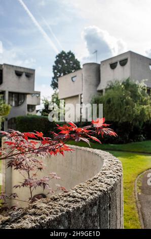 1960s maisons modernistes en briques grises de Lawrence Abbott à Apex Drive Frimley Surrey, Angleterre Banque D'Images