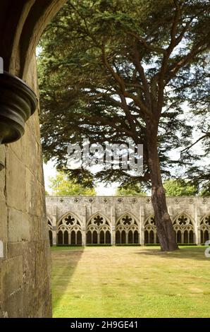 Vue depuis les cloîtres de Salisbury Cathedral Wiltshire England UK Banque D'Images